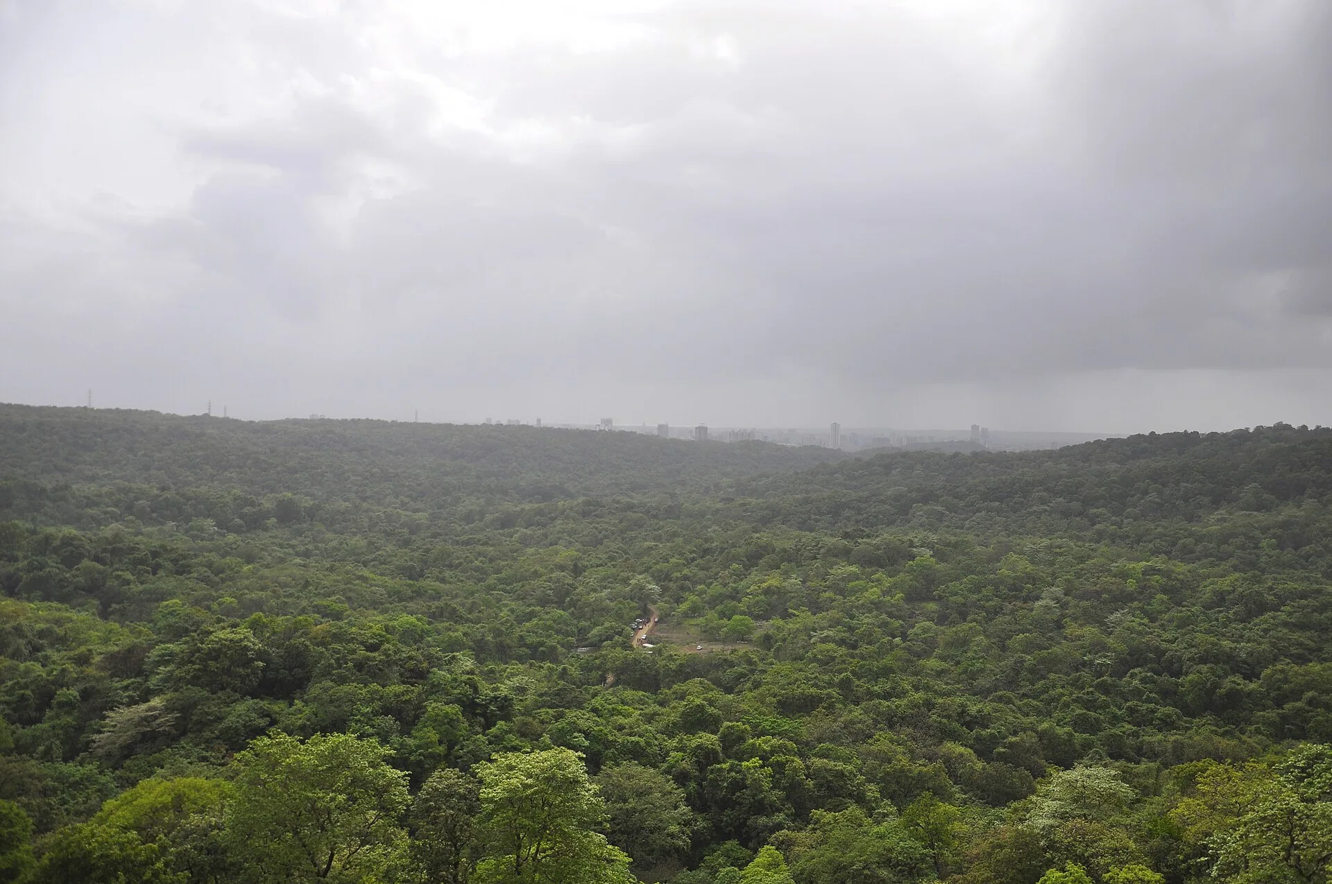 Sanjay Gandhi National Park